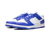 Nike Dunk Low Alternate Kentucky