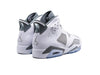 Air Jordan 6 Cool Grey
