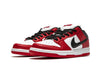 Nike SB Dunk Low Pro J-Pack Chicago